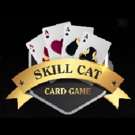 Profile picture of skillcatgame